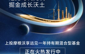 上投摩根亚太优势基金净值(上投摩根亚太优势基金净值377016)